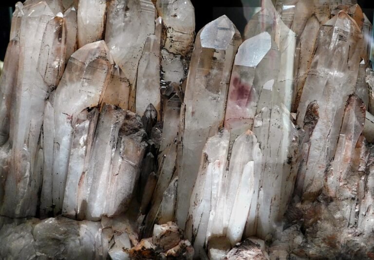 Queen of Wands from the Rider-Waite-Smith tarot deck